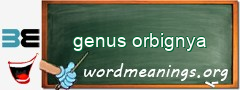 WordMeaning blackboard for genus orbignya